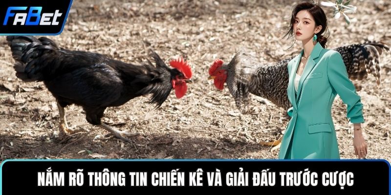 Nắm rõ thông tin chiến kê và giải đấu trước cược
